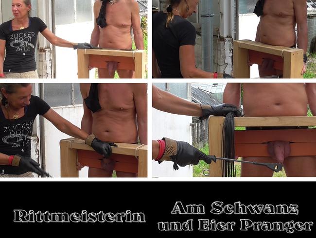 Am Schwanz und Eier Pranger MDH Version