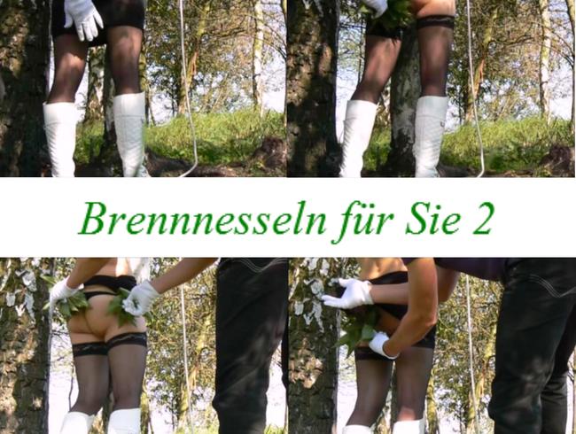 Brennnesseln für Sie 2