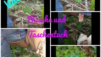 Büsche und Taschentuch