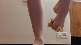 Crush Apple Pie Splosh Foot Fetish BBW