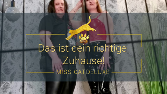 Das ist dein richtiges Zuhause!