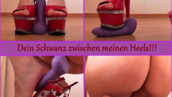 Dein Schwanz zwischen meinen Heels!!!