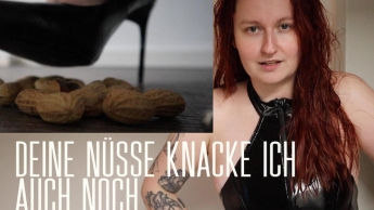 Deine Nüsse knacke ich auch noch!