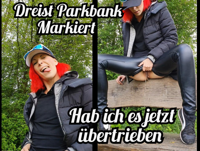 Dreist Parkbank Makiert.