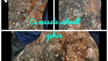 Es musste schnell gehen….