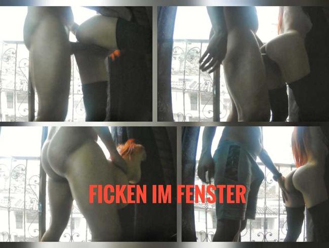 FICKEN IM FENSTER