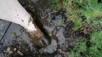 Füße im Matsch und im dreckigen Wasser