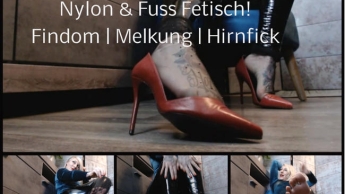 Gehirnformatierung! Fuß- und Nylon Sub!