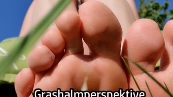 Grashalmperspektive