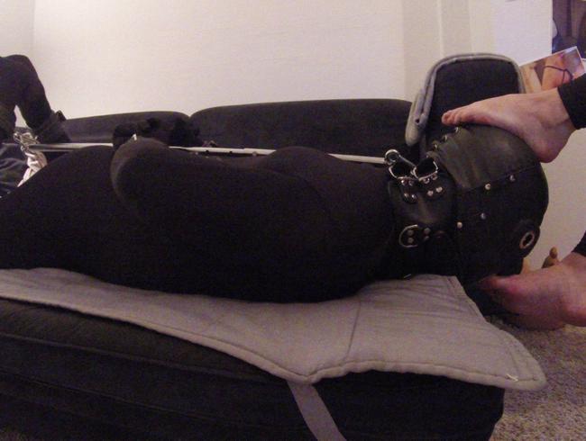 Hogtied