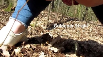 Im Wald beim Pissen gefilmt mit pinkem Schlüpfer