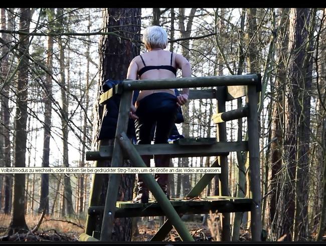 Im Wald da sind die …..oder der böse Wolf !