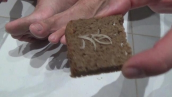 Iss ein Sandwich mit meinen Nägeln, Speichel und deinem Sperma