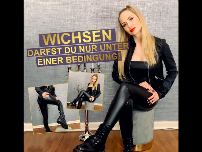 JOI – WICHSEN darfst du nur unter EINER Bedingung!!