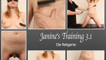 Janine’s Training 3.1 – Die Reitgerte