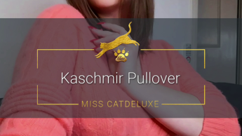 Kaschmir Pullover