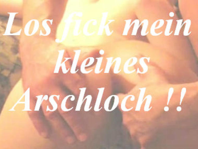 Los fick meine kleines Arschloch