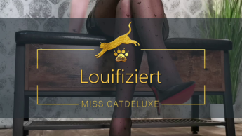 Louifiziert