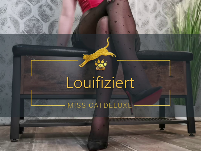 Louifiziert