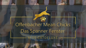 Offenbacher Mean Chicks: Das Spanner Fenster