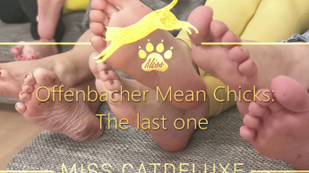 Offenbacher Mean Chicks: The last one