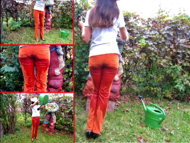 Piss + Dusche in Cordjeans bei der Gartenarbeit