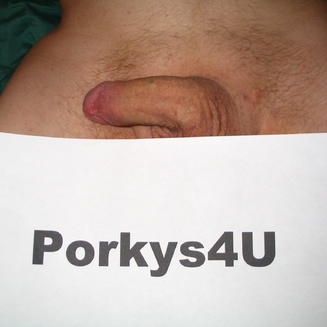 Porkys4u