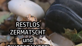 RESTLOS ZERMATSCHT und EINGESTAMPFT!