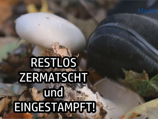 RESTLOS ZERMATSCHT und EINGESTAMPFT!