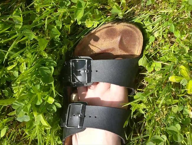 Schuhe im Gras