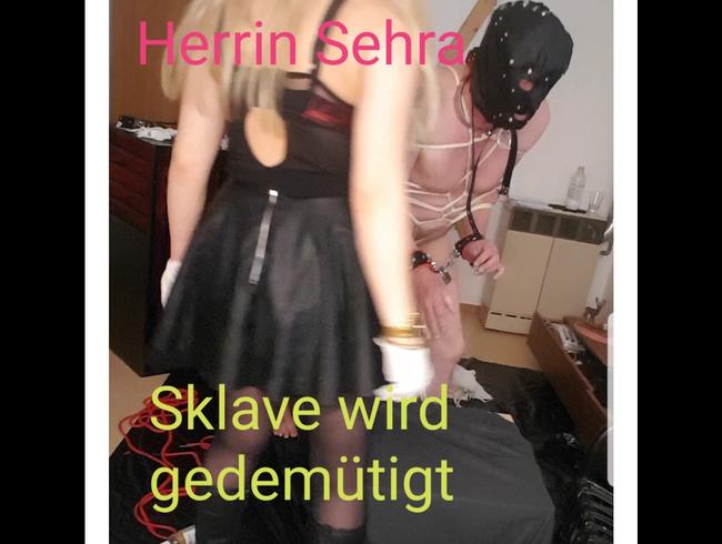 Sklave wird aus dem Käfig geholt , um  mit ihm zu spielen! TEIL 4