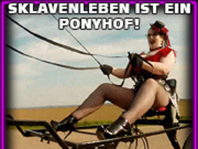 Sklavenleben ist ein Ponyhof!