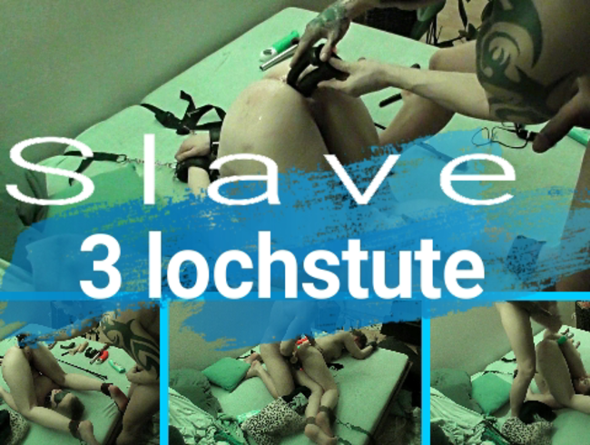 Slave 3 lochstute