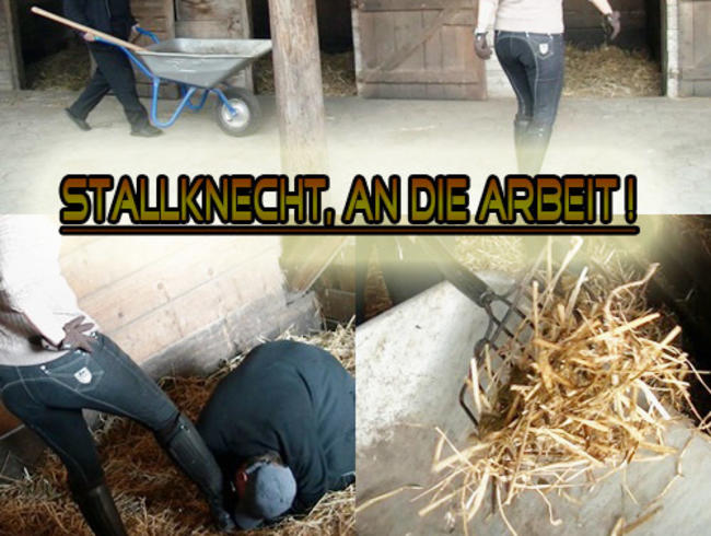 Stallknecht muss Ausmisten