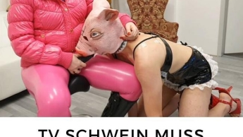 TV Schwein muss blasen