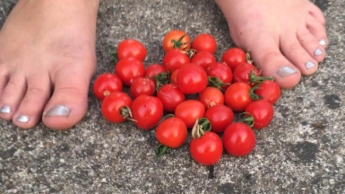 Tomatencrushing