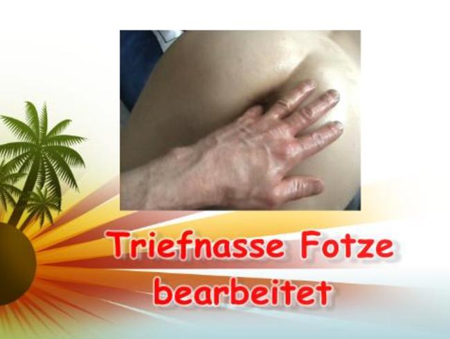 Triefnasse Fotze bearbeitet