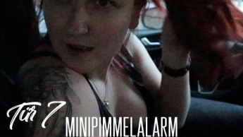 Tür 7: MinipimmelAlarm