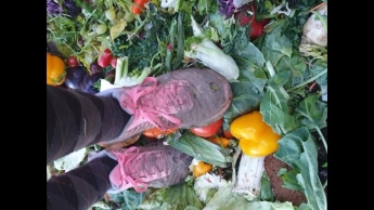 Uaerwunsch mit Sportschuhen auf dem Misthaufen Obst und Gemüse zertrampeln