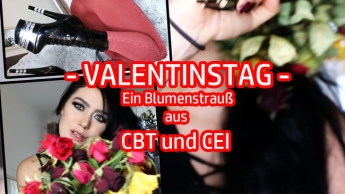 VALENTINSTAG – Ein Blumenstrauß aus CBT und CEI für dich!