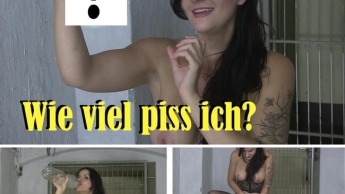 Wie viel piss ich ?