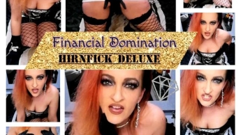 Financial Domination – Hirnfick Deluxe