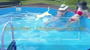 Garten Eden – Königslilien – Igno Clip