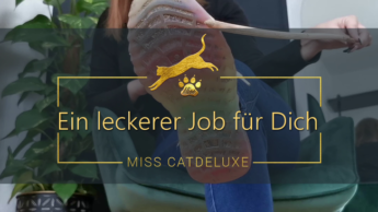 Ein leckerer Job für Dich