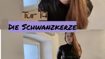 Tür 14: Die Schwanzkerze