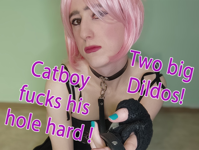 Catboy fucks his hole with two big dildos!