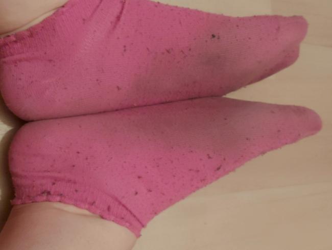 Meine stinkende Socken