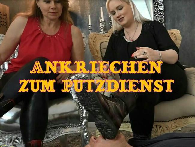 Putzdienst mit Zunge und Leder