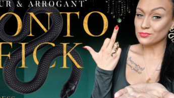 DER KONTOFICK – stur & arrogant