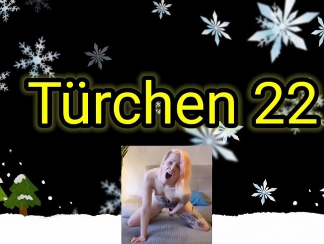 ADVENTSKALENDER TÜRCHEN 22